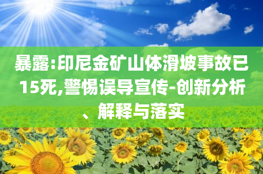 暴露:印尼金礦山體滑坡事故已15死,警惕誤導(dǎo)宣傳-創(chuàng)新分析、解釋與落實(shí)