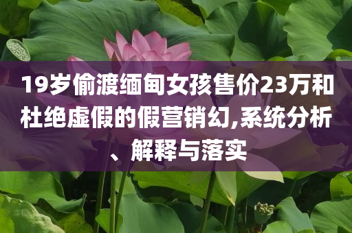 19歲偷渡緬甸女孩售價(jià)23萬和杜絕虛假的假營(yíng)銷幻,系統(tǒng)分析、解釋與落實(shí)