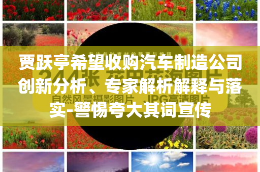 賈躍亭希望收購汽車制造公司創(chuàng)新分析、專家解析解釋與落實(shí)-警惕夸大其詞宣傳