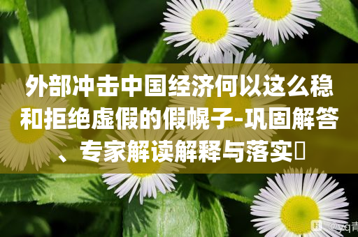 外部沖擊中國(guó)經(jīng)濟(jì)何以這么穩(wěn)和拒絕虛假的假幌子-鞏固解答、專家解讀解釋與落實(shí)?