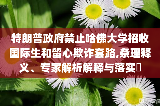 特朗普政府禁止哈佛大學(xué)招收國(guó)際生和留心欺詐套路,條理釋義、專(zhuān)家解析解釋與落實(shí)?