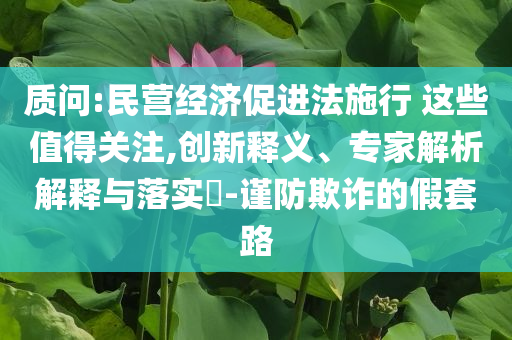 質(zhì)問(wèn):民營(yíng)經(jīng)濟(jì)促進(jìn)法施行 這些值得關(guān)注,創(chuàng)新釋義、專(zhuān)家解析解釋與落實(shí)?-謹(jǐn)防欺詐的假套路