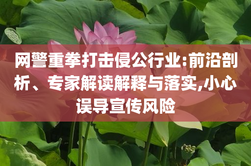 網(wǎng)警重拳打擊侵公行業(yè):前沿剖析、專(zhuān)家解讀解釋與落實(shí),小心誤導(dǎo)宣傳風(fēng)險(xiǎn)