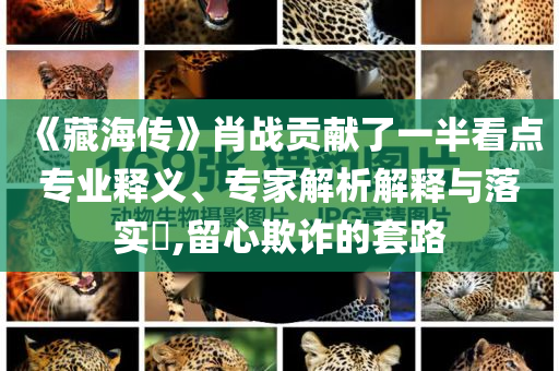 《藏海傳》肖戰(zhàn)貢獻(xiàn)了一半看點專業(yè)釋義、專家解析解釋與落實?,留心欺詐的套路