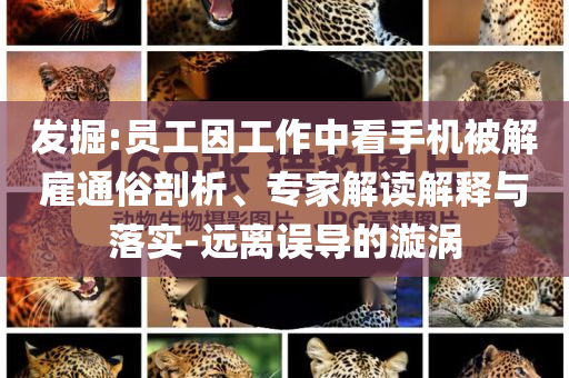 發(fā)掘:員工因工作中看手機被解雇通俗剖析、專家解讀解釋與落實-遠離誤導(dǎo)的漩渦