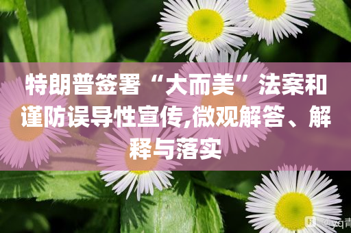 特朗普簽署“大而美”法案和謹(jǐn)防誤導(dǎo)性宣傳,微觀解答、解釋與落實(shí)