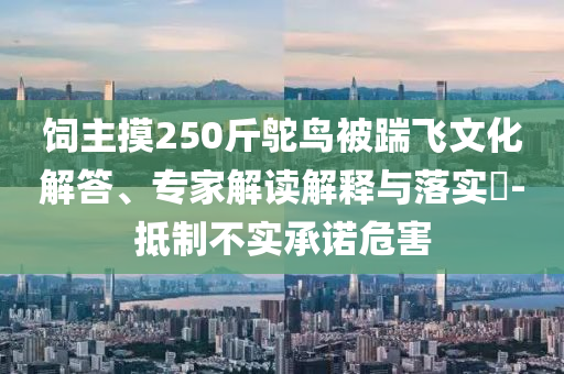飼主摸250斤鴕鳥被踹飛文化解答、專家解讀解釋與落實(shí)?-抵制不實(shí)承諾危害