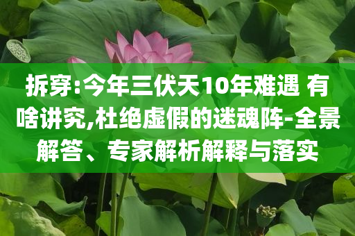 拆穿:今年三伏天10年難遇 有啥講究,杜絕虛假的迷魂陣-全景解答、專家解析解釋與落實
