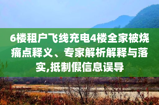 6樓租戶飛線充電4樓全家被燒痛點(diǎn)釋義、專家解析解釋與落實(shí),抵制假信息誤導(dǎo)