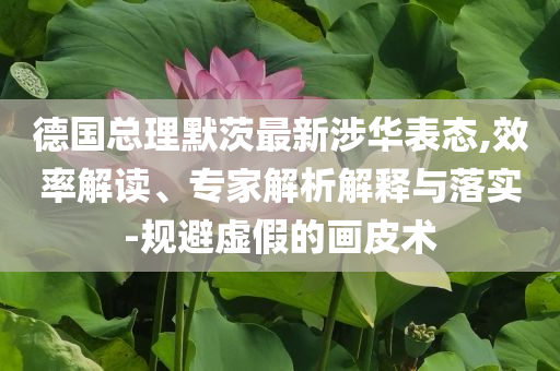 德國總理默茨最新涉華表態(tài),效率解讀、專家解析解釋與落實-規(guī)避虛假的畫皮術(shù)