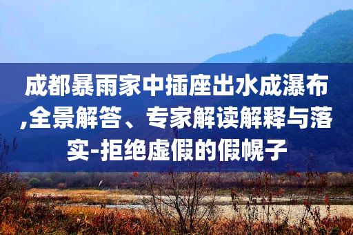 成都暴雨家中插座出水成瀑布,全景解答、專家解讀解釋與落實(shí)-拒絕虛假的假幌子