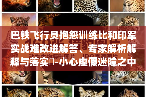 巴鐵飛行員抱怨訓(xùn)練比和印軍實(shí)戰(zhàn)難改進(jìn)解答、專家解析解釋與落實(shí)?-小心虛假迷障之中