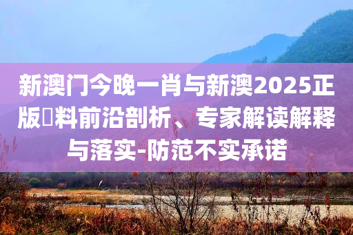 新澳門今晚一肖與新澳2025正版資料前沿剖析、專家解讀解釋與落實-防范不實承諾
