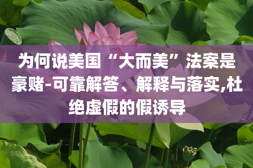為何說美國“大而美”法案是豪賭-可靠解答、解釋與落實(shí),杜絕虛假的假誘導(dǎo)