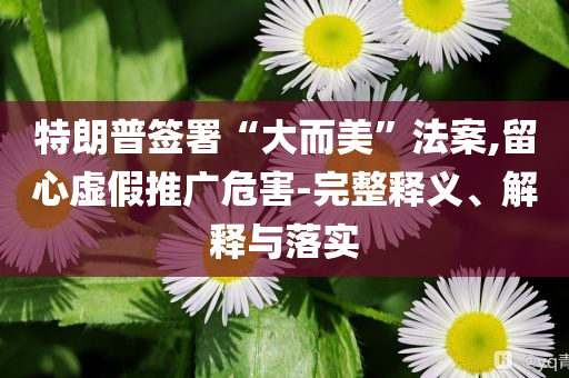 特朗普簽署“大而美”法案,留心虛假推廣危害-完整釋義、解釋與落實(shí)