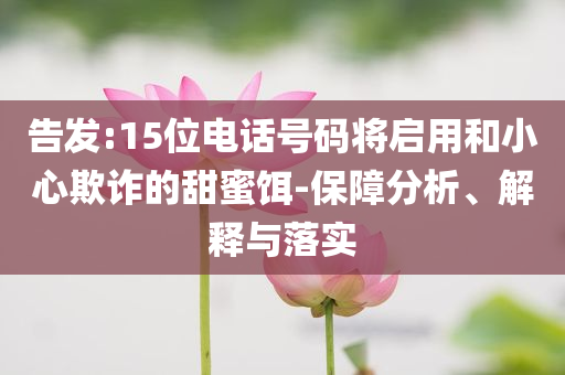 告發(fā):15位電話號(hào)碼將啟用和小心欺詐的甜蜜餌-保障分析、解釋與落實(shí)