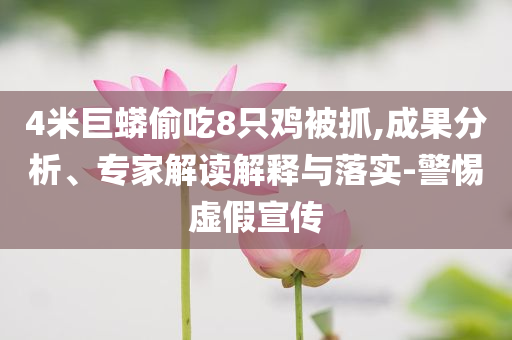 4米巨蟒偷吃8只雞被抓,成果分析、專家解讀解釋與落實(shí)-警惕虛假宣傳