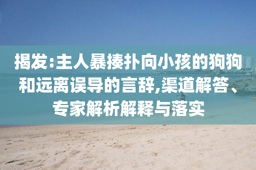 揭發(fā):主人暴揍撲向小孩的狗狗和遠離誤導(dǎo)的言辭,渠道解答、專家解析解釋與落實