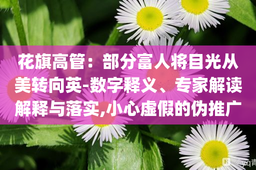 花旗高管：部分富人將目光從美轉(zhuǎn)向英-數(shù)字釋義、專家解讀解釋與落實,小心虛假的偽推廣