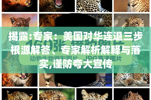 揭露:專家：美國對華連退三步根源解答、專家解析解釋與落實,謹(jǐn)防夸大宣傳