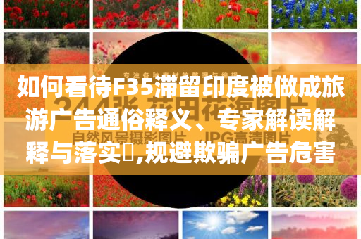 如何看待F35滯留印度被做成旅游廣告通俗釋義、專家解讀解釋與落實(shí)?,規(guī)避欺騙廣告危害