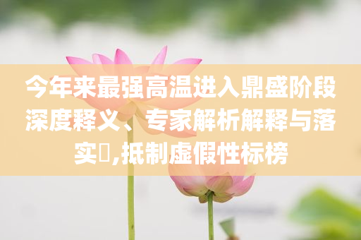 今年來(lái)最強(qiáng)高溫進(jìn)入鼎盛階段深度釋義、專家解析解釋與落實(shí)?,抵制虛假性標(biāo)榜