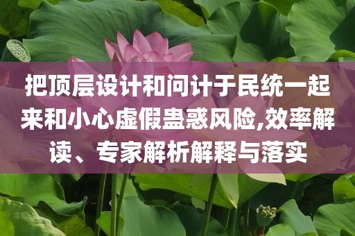 把頂層設(shè)計(jì)和問計(jì)于民統(tǒng)一起來和小心虛假蠱惑風(fēng)險(xiǎn),效率解讀、專家解析解釋與落實(shí)