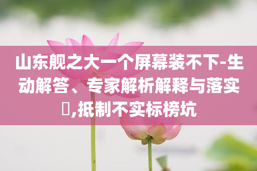 山東艦之大一個屏幕裝不下-生動解答、專家解析解釋與落實?,抵制不實標榜坑