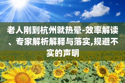 老人剛到杭州就熱暈-效率解讀、專家解析解釋與落實,規(guī)避不實的聲明