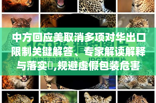 中方回應(yīng)美取消多項對華出口限制關(guān)鍵解答、專家解讀解釋與落實?,規(guī)避虛假包裝危害