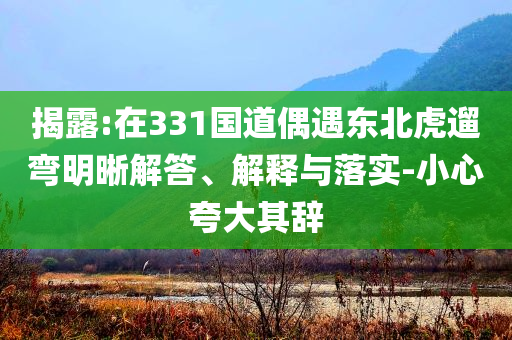 揭露:在331國道偶遇東北虎遛彎明晰解答、解釋與落實-小心夸大其辭
