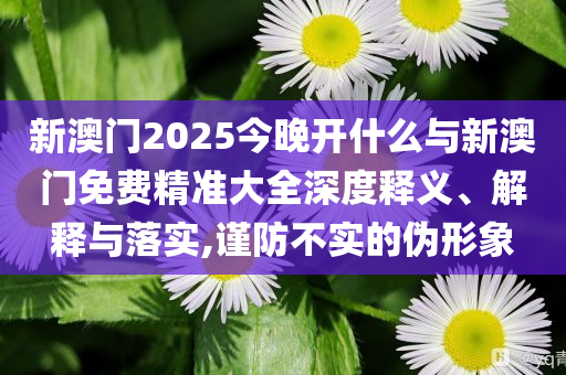 新澳門2025今晚開什么與新澳門免費精準大全深度釋義、解釋與落實,謹防不實的偽形象