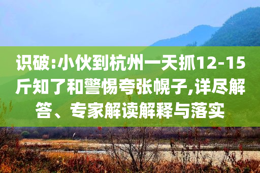 識(shí)破:小伙到杭州一天抓12-15斤知了和警惕夸張幌子,詳盡解答、專家解讀解釋與落實(shí)