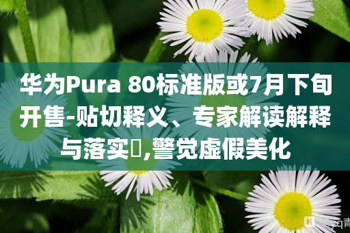 華為Pura 80標(biāo)準(zhǔn)版或7月下旬開售-貼切釋義、專家解讀解釋與落實(shí)?,警覺虛假美化