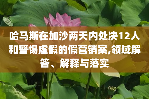 哈馬斯在加沙兩天內(nèi)處決12人和警惕虛假的假營(yíng)銷(xiāo)案,領(lǐng)域解答、解釋與落實(shí)
