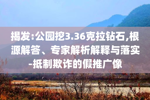 揭發(fā):公園挖3.36克拉鉆石,根源解答、專家解析解釋與落實-抵制欺詐的假推廣像
