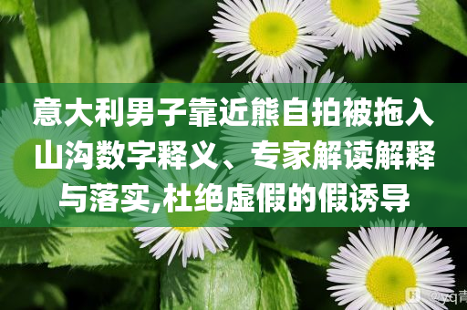 意大利男子靠近熊自拍被拖入山溝數(shù)字釋義、專家解讀解釋與落實(shí),杜絕虛假的假誘導(dǎo)
