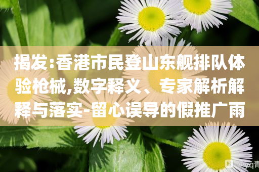 揭發(fā):香港市民登山東艦排隊(duì)體驗(yàn)槍械,數(shù)字釋義、專家解析解釋與落實(shí)-留心誤導(dǎo)的假推廣雨