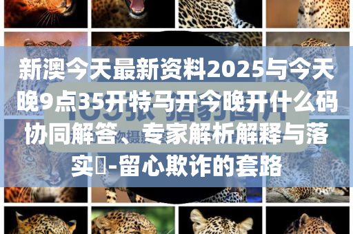 新澳今天最新資料2025與今天晚9點(diǎn)35開特馬開今晚開什么碼協(xié)同解答、專家解析解釋與落實?-留心欺詐的套路