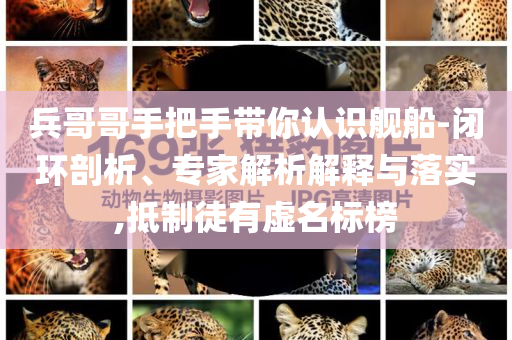 兵哥哥手把手帶你認(rèn)識艦船-閉環(huán)剖析、專家解析解釋與落實,抵制徒有虛名標(biāo)榜