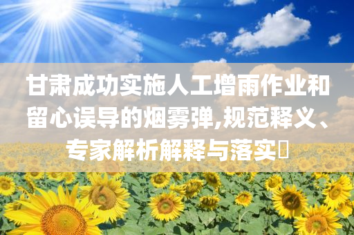 甘肅成功實施人工增雨作業(yè)和留心誤導的煙霧彈,規(guī)范釋義、專家解析解釋與落實?