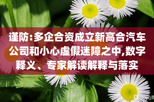 謹防:多企合資成立新高合汽車公司和小心虛假迷障之中,數(shù)字釋義、專家解讀解釋與落實