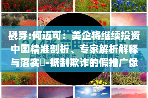 戳穿:何邁可：美企將繼續(xù)投資中國精準剖析、專家解析解釋與落實?-抵制欺詐的假推廣像