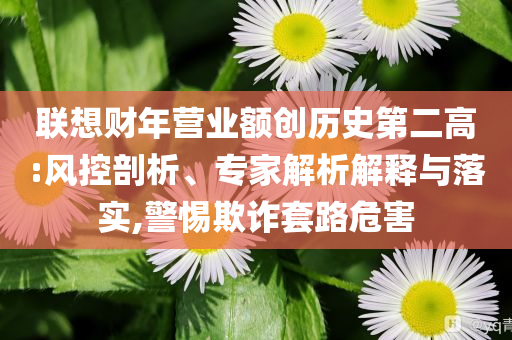聯(lián)想財(cái)年?duì)I業(yè)額創(chuàng)歷史第二高:風(fēng)控剖析、專家解析解釋與落實(shí),警惕欺詐套路危害
