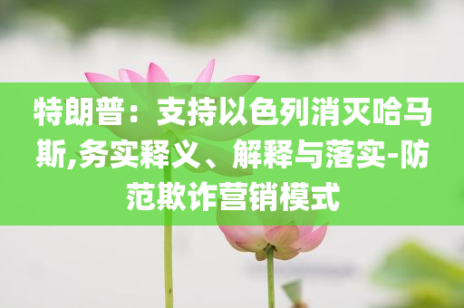 特朗普：支持以色列消滅哈馬斯,務(wù)實(shí)釋義、解釋與落實(shí)-防范欺詐營銷模式