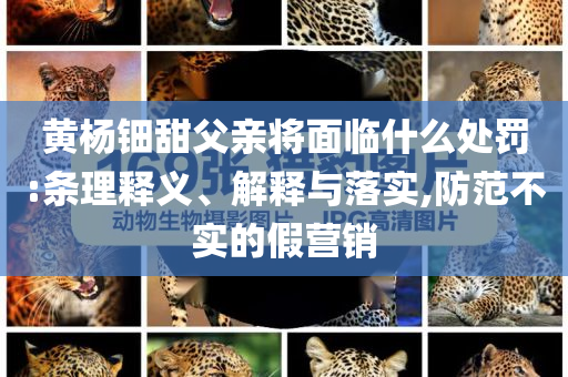 黃楊鈿甜父親將面臨什么處罰:條理釋義、解釋與落實,防范不實的假營銷