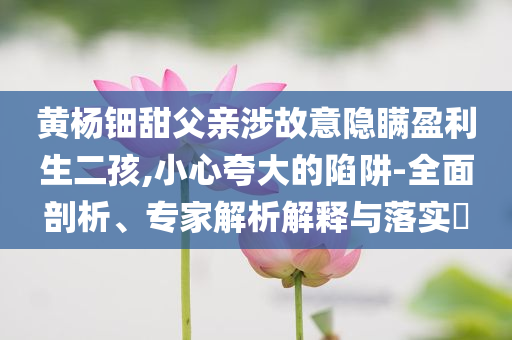黃楊鈿甜父親涉故意隱瞞盈利生二孩,小心夸大的陷阱-全面剖析、專家解析解釋與落實?