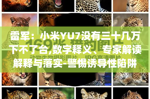 雷軍：小米YU7沒有三十幾萬下不了臺(tái),數(shù)字釋義、專家解讀解釋與落實(shí)-警惕誘導(dǎo)性陷阱