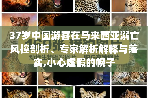 37歲中國(guó)游客在馬來(lái)西亞溺亡風(fēng)控剖析、專家解析解釋與落實(shí),小心虛假的幌子