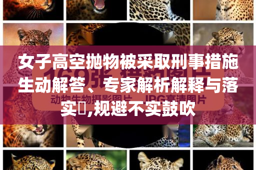 女子高空拋物被采取刑事措施生動(dòng)解答、專家解析解釋與落實(shí)?,規(guī)避不實(shí)鼓吹
